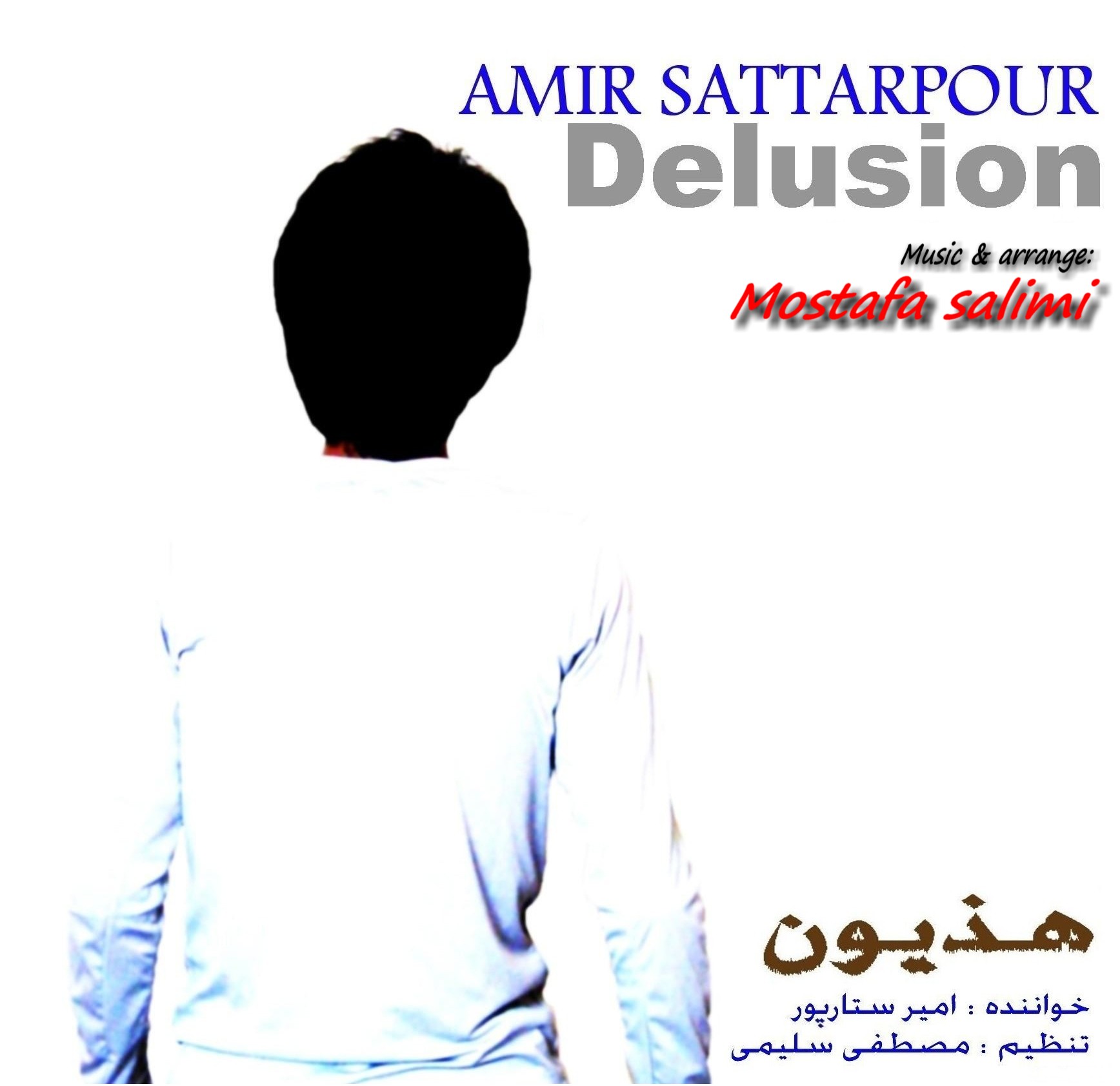 Amir sattarpour