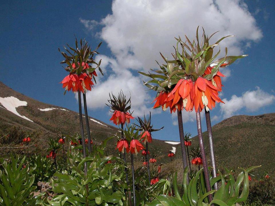 Nature of Lorestan Province