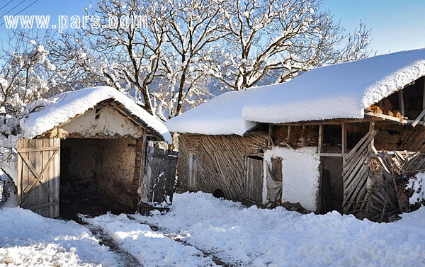 iran - gilan - ایران - گیلان