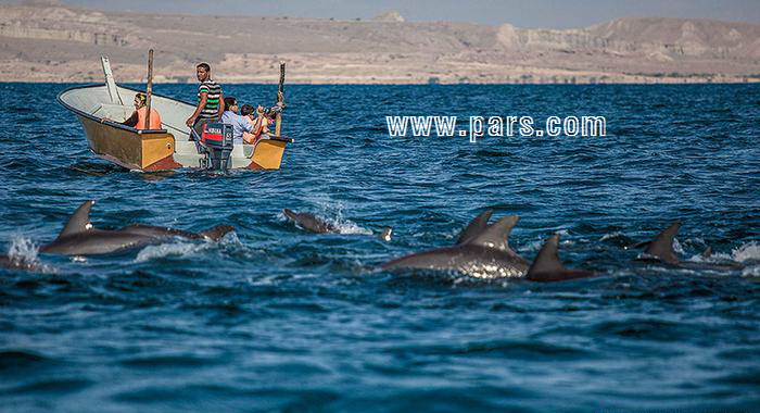 جزیره ''هنگام'' - hengam Island