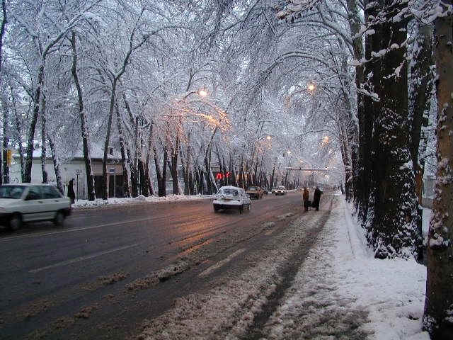 Gorgeous Tehran