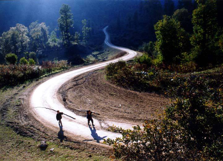 طبیعت خنک و ییلاقی ابتدای جاده اسالم