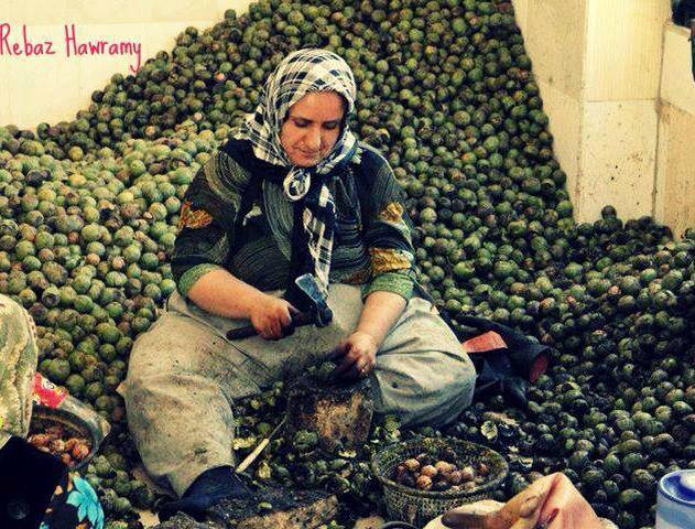 Iranian farmer woman