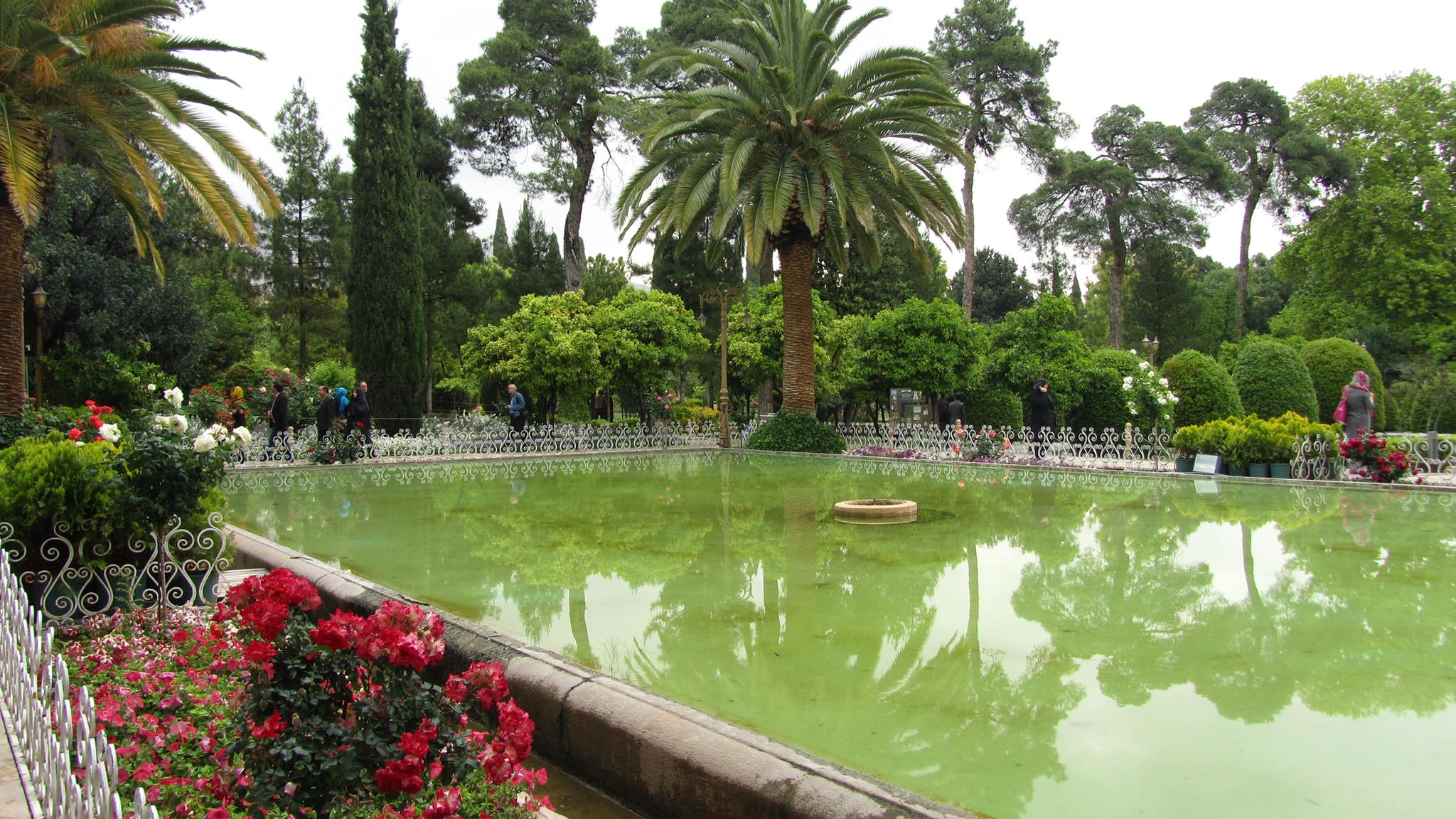 Beautiful garden with a pond and flowers