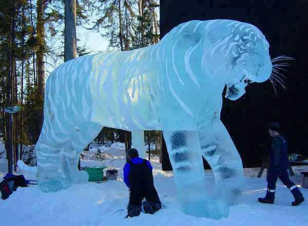 Ice tiger