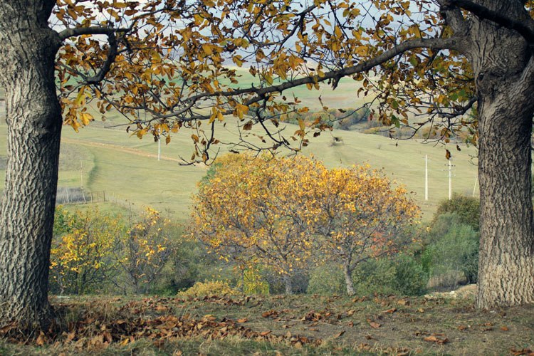 Outdoors in the Fall