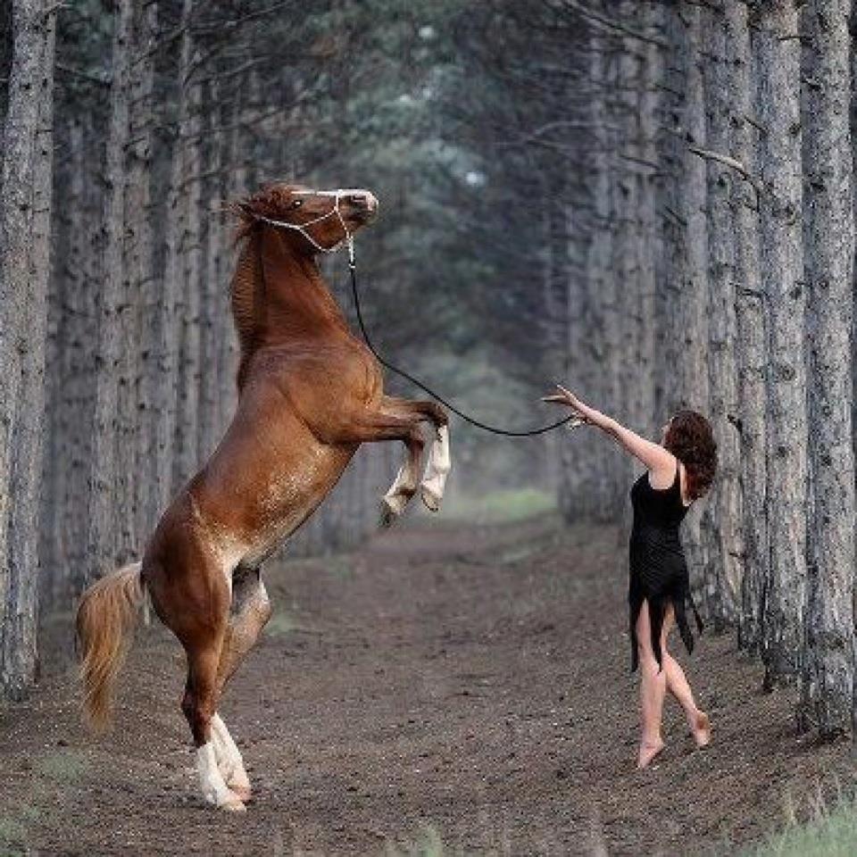 No ''horse play''