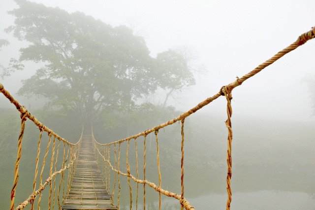 Adventure bridge