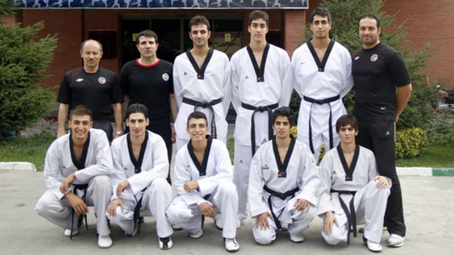 Martial arts team