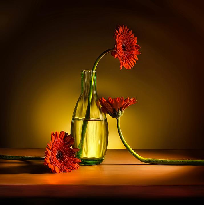 Flowers in a vase